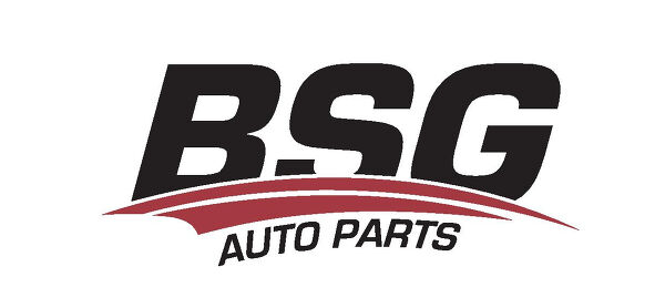 BSG
